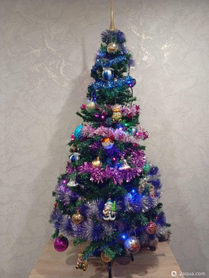 С наступающим 2026, аквариумисты! - фото #157252