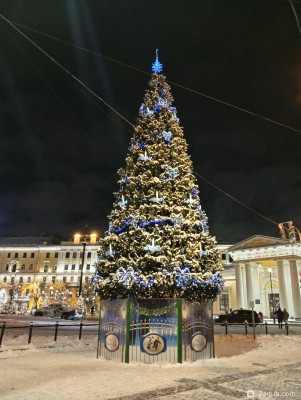 С наступающим 2026, аквариумисты! - фото #157268