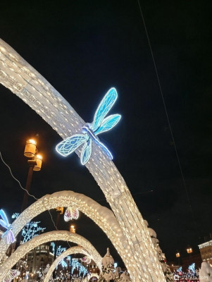 С наступающим 2026, аквариумисты! - фото #157269