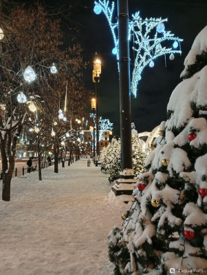 С наступающим 2026, аквариумисты! - фото #157272