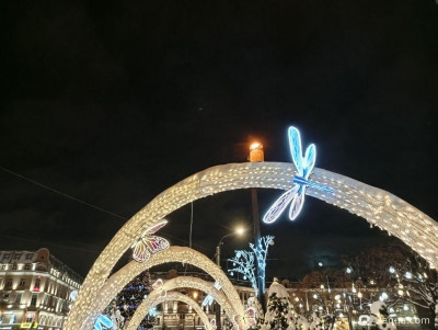 С наступающим 2026, аквариумисты! - фото #157273