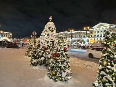 С наступающим 2026, аквариумисты! - фото #157274