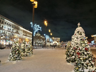 С наступающим 2026, аквариумисты! - фото #157276