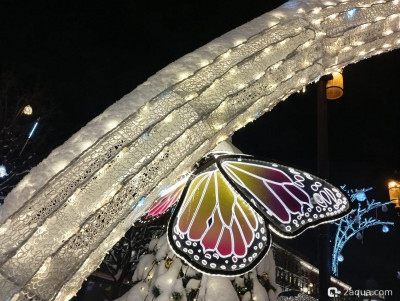 С наступающим 2026, аквариумисты! - фото #157277