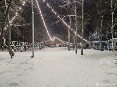 С наступающим 2026, аквариумисты! - фото #157288