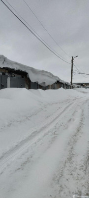 Просто поговорить - фото #157293