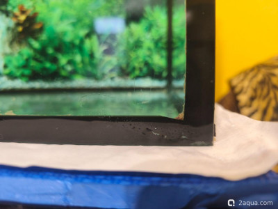Пузырь в шве аквариума - фото #157331