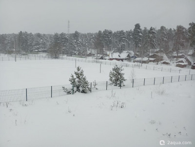 Просто поговорить - фото #157338