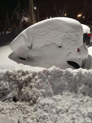 Просто поговорить - фото #157354