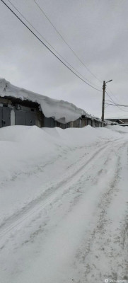 Фото Просто поговорить (photo#157361)