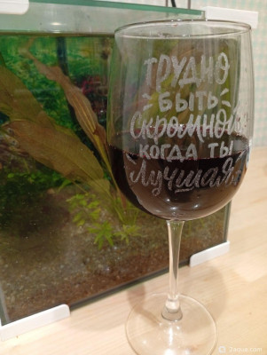 Фото Забавные надписи (photo#157372)