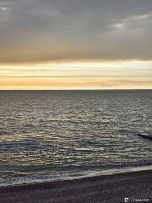 Фото Просто поговорить (photo#157375)