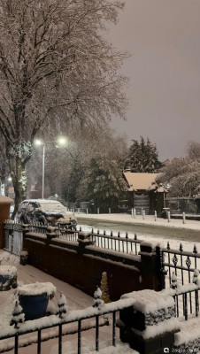 Фото Просто поговорить (photo#157379)