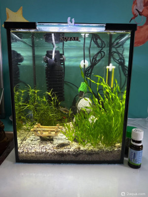 Фото Детский куб 15 литров lera.f  (photo#157402)