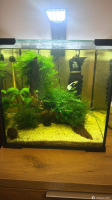 Фото Кубик 30 литров, но по факту 21 lera.f  (photo#157406)