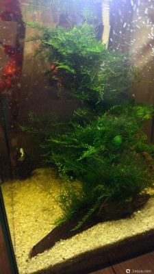 Фото Кубик 30 литров, но по факту 21 lera.f  (photo#157407)