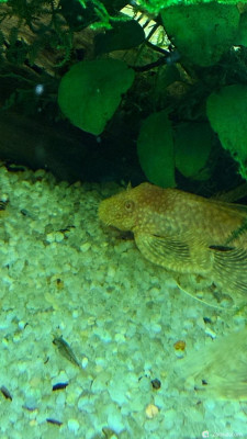 Кубик 30 литров, но по факту 21 (lera.f) - фото #157408