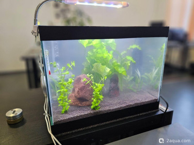 Фото Рабочий аквариум 20 литров (photo#157412)