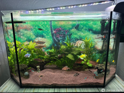 Фото 110 литров счастья, или новая банка трапеция lera.f  (photo#157422)