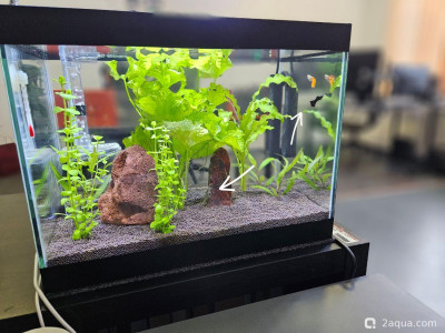 Фото Рабочий аквариум 20 литров (photo#157483)