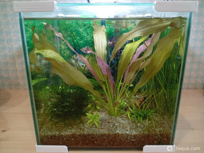 Фото Кубик для кухни 15 литров Ленчик  (photo#157505)