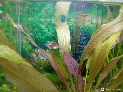 Фото Кубик для кухни 15 литров Ленчик  (photo#157507)