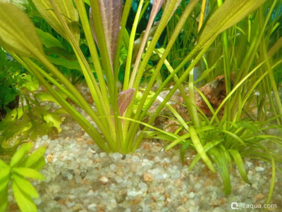 Фото Кубик для кухни 15 литров Ленчик  (photo#157509)