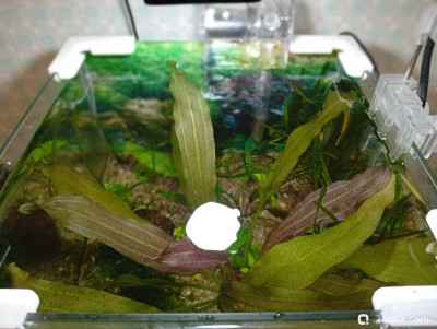 Кубик для кухни 15 литров (Ленчик) - фото #157515