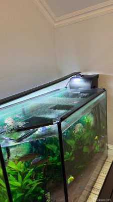 110 литров счастья, или новая банка трапеция (lera.f) - фото #157526