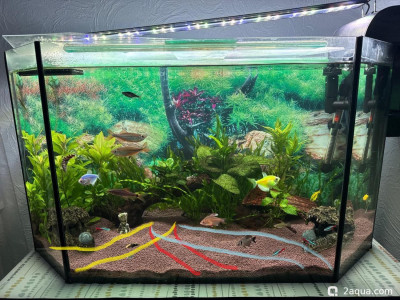 110 литров счастья, или новая банка трапеция (lera.f) - фото #157528