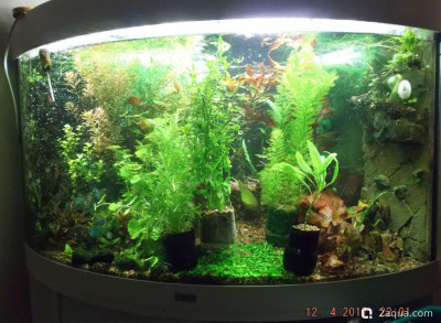 110 литров счастья, или новая банка трапеция (lera.f) - фото #157529