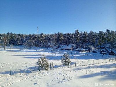 Просто поговорить - фото #157542