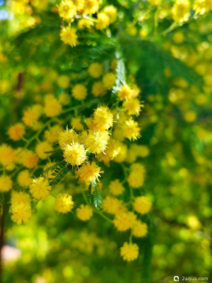 Просто поговорить - фото #157560