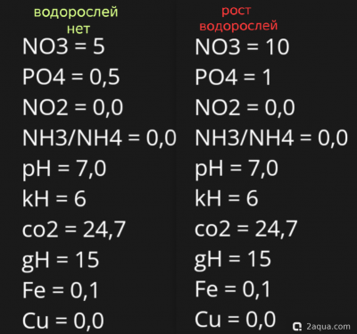 Аквариум 170 л. по воде, травник. - фото #157570