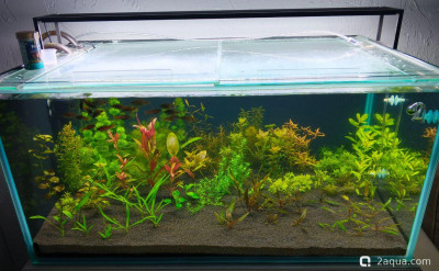 Аквариум 170 л. по воде, травник. - фото #157571