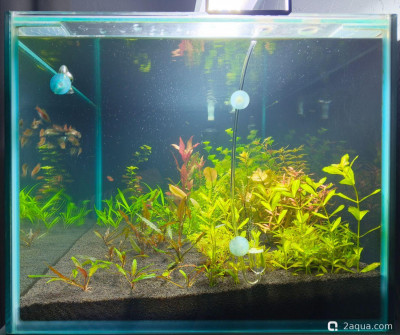 Аквариум 170 л. по воде, травник. - фото #157572
