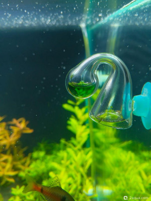 Как лучше растворять CO2 - фото #157582