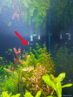 Как лучше растворять CO2 - фото #157583