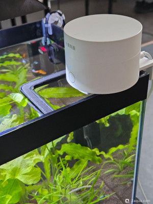 Рабочий аквариум 20 литров - фото #157599