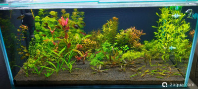 Аквариум 170 л. по воде, травник. - фото #157617