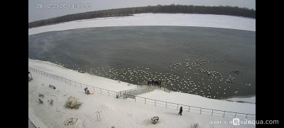 Просто поговорить - фото #157619