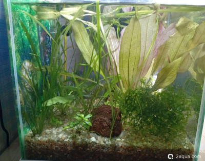 Кубик для кухни 15 литров (Ленчик) - фото #157620