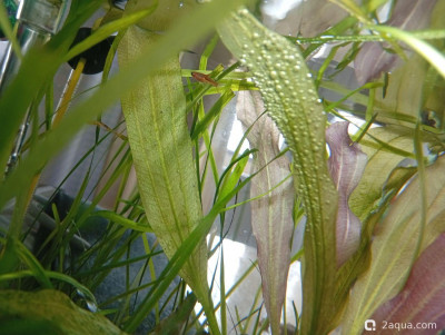 Кубик для кухни 15 литров (Ленчик) - фото #157621