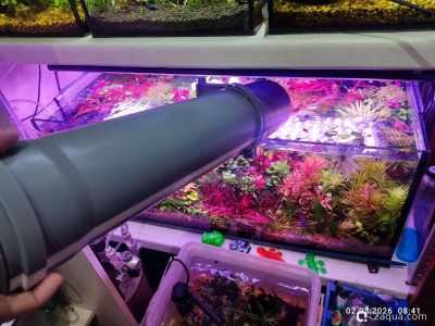 Самоделки, облегчающие жизнь аквариумиста. - фото #157623