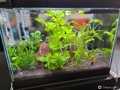 Рабочий аквариум 20 литров - фото #157625