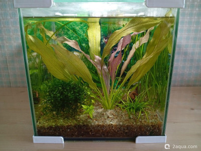 Кубик для кухни 15 литров (Ленчик) - фото #157631