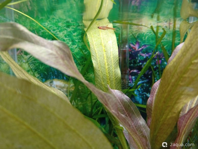 Кубик для кухни 15 литров (Ленчик) - фото #157632