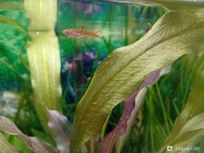 Кубик для кухни 15 литров (Ленчик) - фото #157633