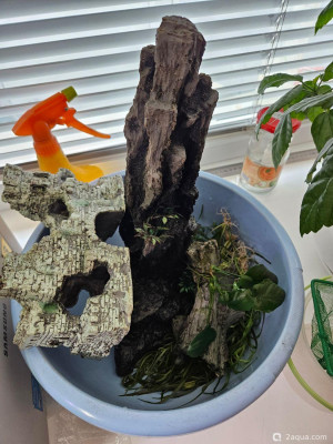 Фото Угловой аквариум 50 литров andrey_che  (photo#157682)