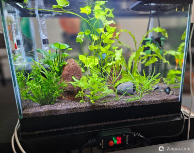 Фото Рабочий аквариум 20 литров (photo#157685)